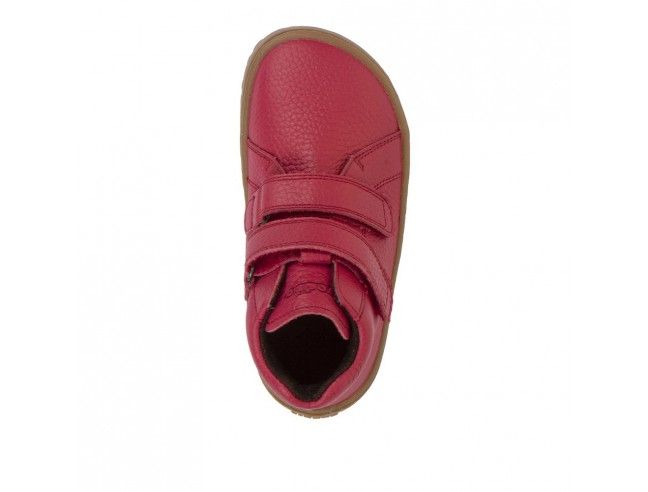 Botín Barefoot Froddo HIGH TOPS G3110263-13 RED