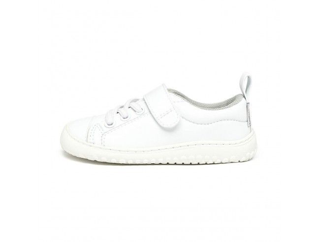 Paterna Rocker Zapato Feroz Blanco