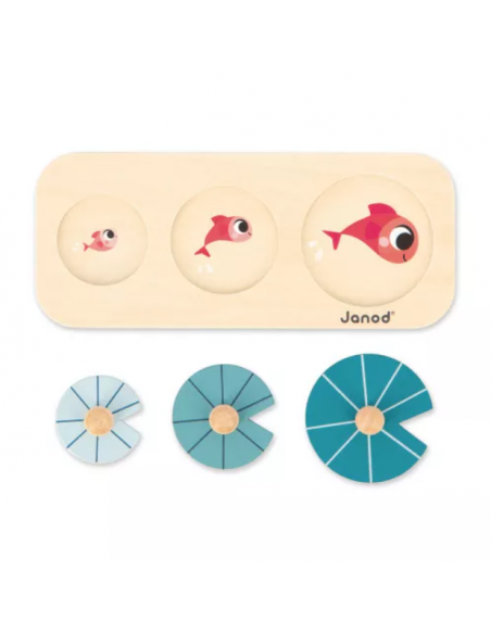 Caja juego BOX 12 MESES JANOD