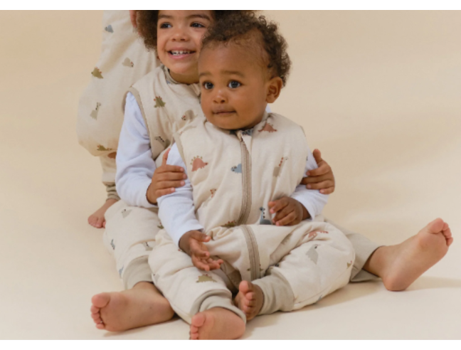 Pijama manta Molis&Co - Dinos - TOG 2.5