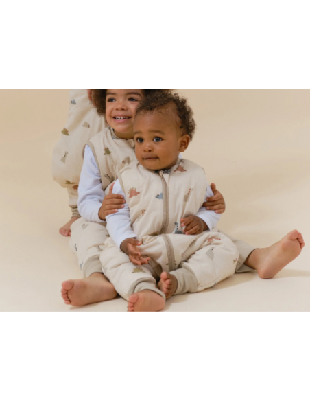 Pijama manta Molis&Co - Dinos - TOG 2.5