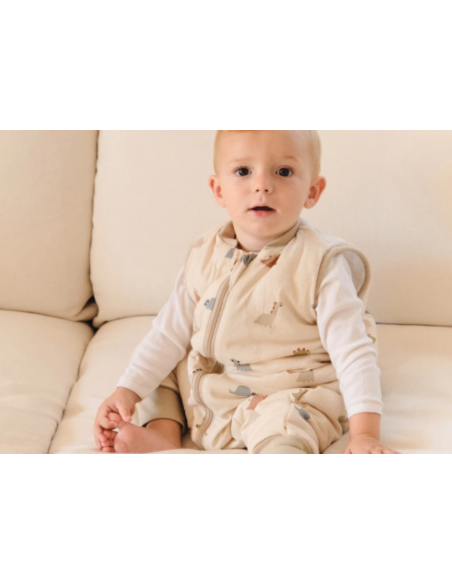 Pijama manta Molis&Co - Dinos - TOG 2.5