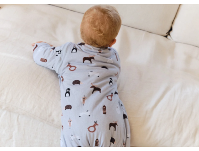 Pijama manta Molis&Co - Winter animals - TOG 2.5