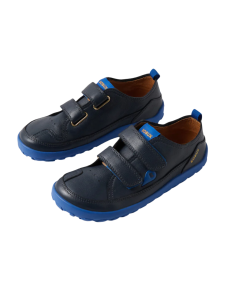 Deportiva Alpha Dawn Marino BOBUX