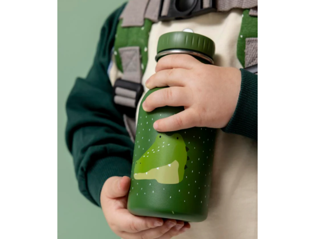 Botella Trixie de acero inoxidable Alligator 350ml