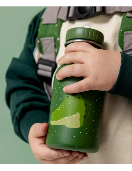Botella Trixie de acero inoxidable Alligator 350ml