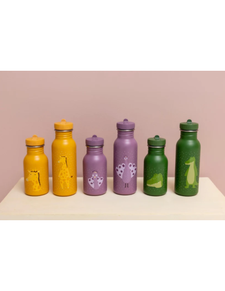 Botella Trixie de acero inoxidable Peacok 350ml
