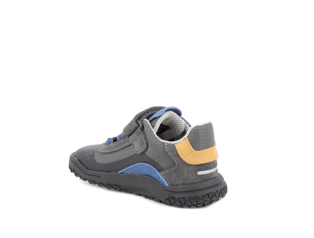 Deportivo Barefoot Primigi GORE-TEX® Gris/Royal