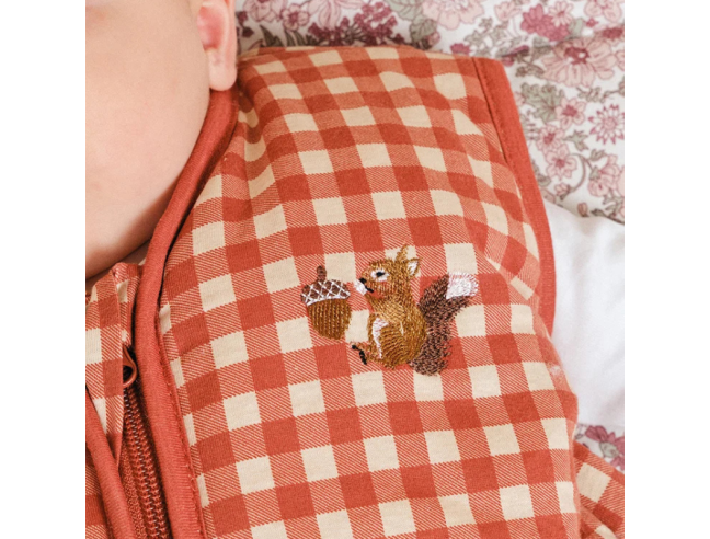 Saco de dormir Molis&Co - Vichy Clay - TOG 2.5