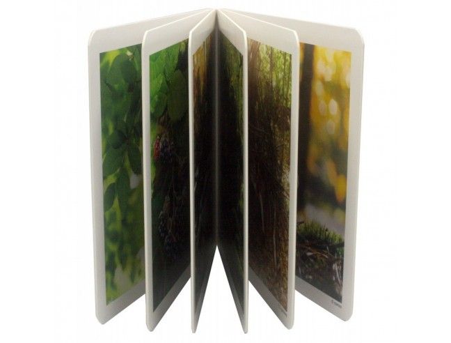 El Bosque NOWORDBOOKS