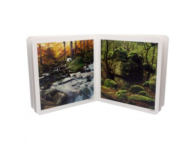 Libro de imágenes "El Bosque" NOWORDBOOKS