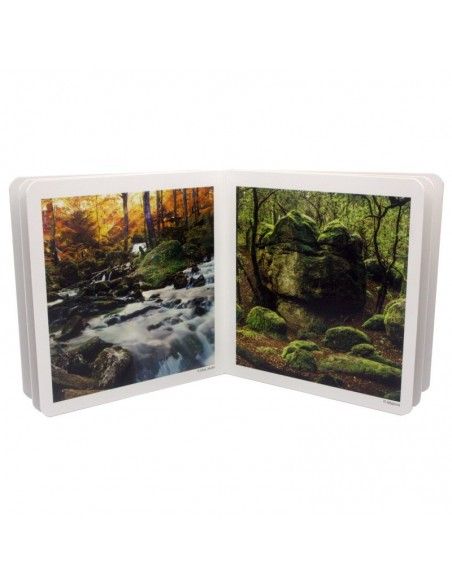 Libro de imágenes "El Bosque" NOWORDBOOKS