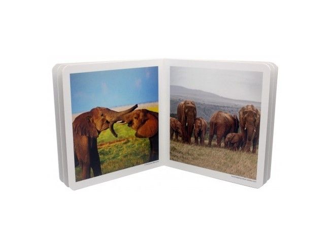 Libro de fotografías de animales en familia.