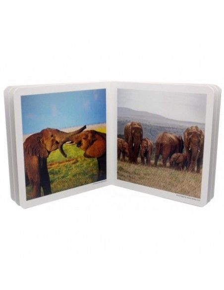 Libro de fotografías de animales en familia.