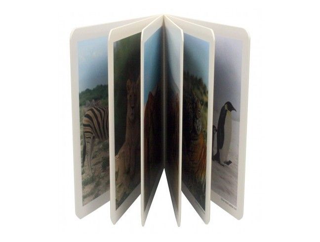 Libro de fotografías de animales en familia.