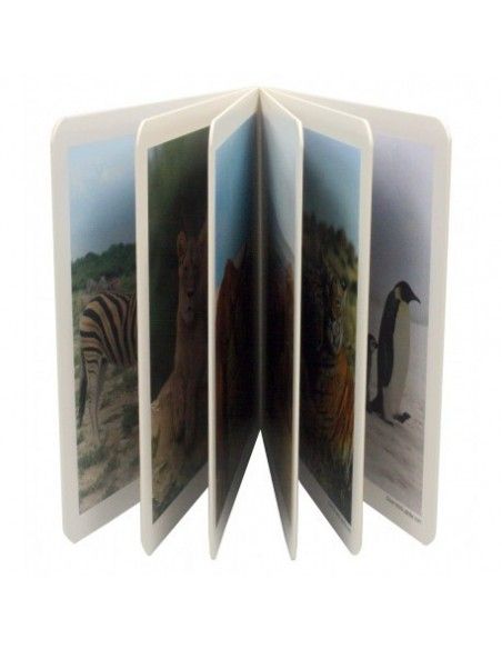 Libro de fotografías de animales en familia.
