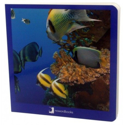 Libro de fotografías "Animales Marinos" NOWORDBOOKS