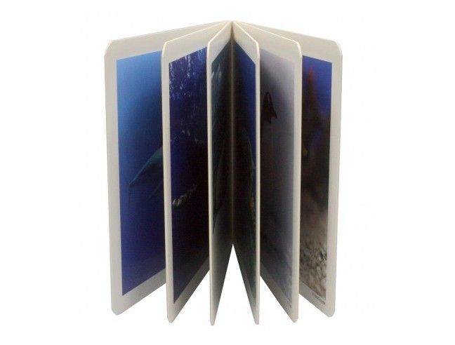 Libro de fotografías "Animales Marinos" NOWORDBOOKS