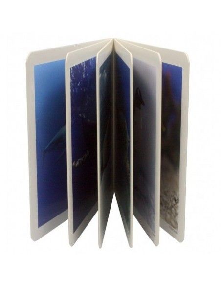 Libro de fotografías "Animales Marinos" NOWORDBOOKS