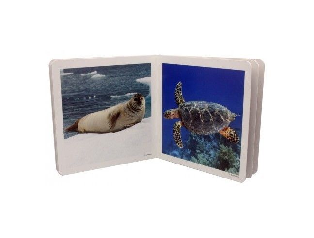 Libro de fotografías "Animales Marinos" NOWORDBOOKS