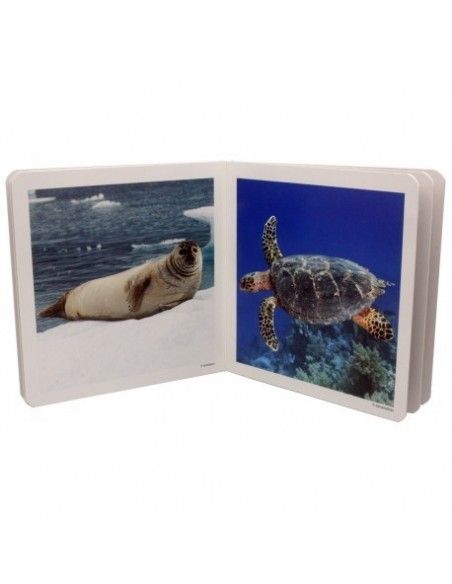 Libro de fotografías "Animales Marinos" NOWORDBOOKS