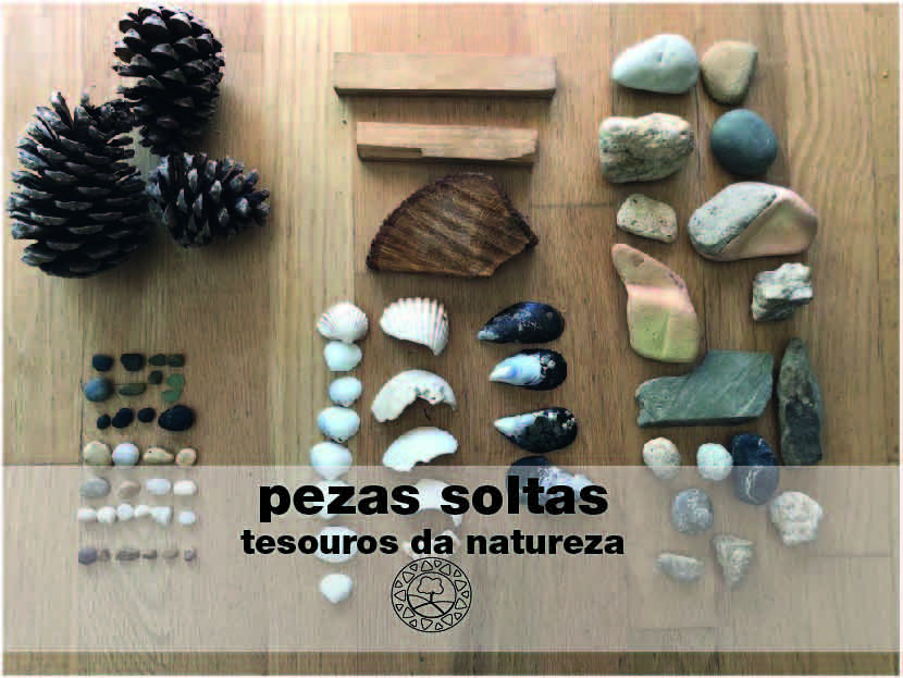 Pezas soltas: tesouros da natureza