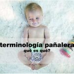 Terminología pañalera básica