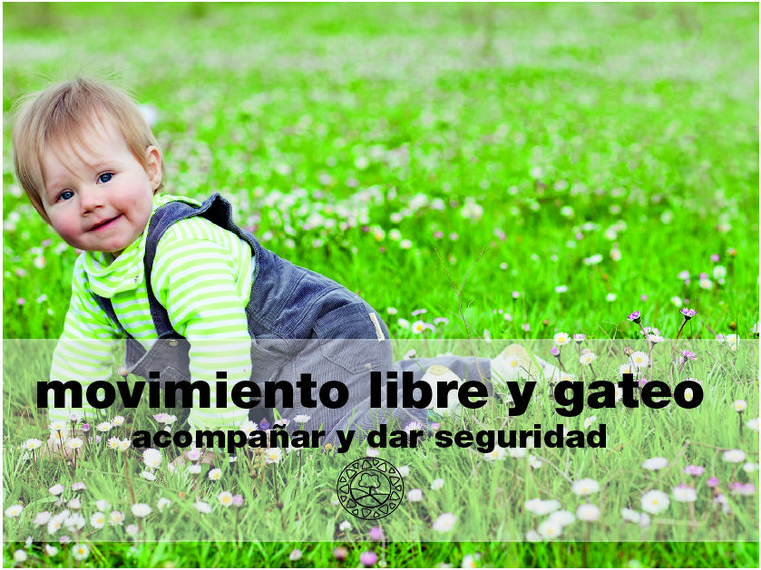 Cómo estimular el gateo o no inhibirlo