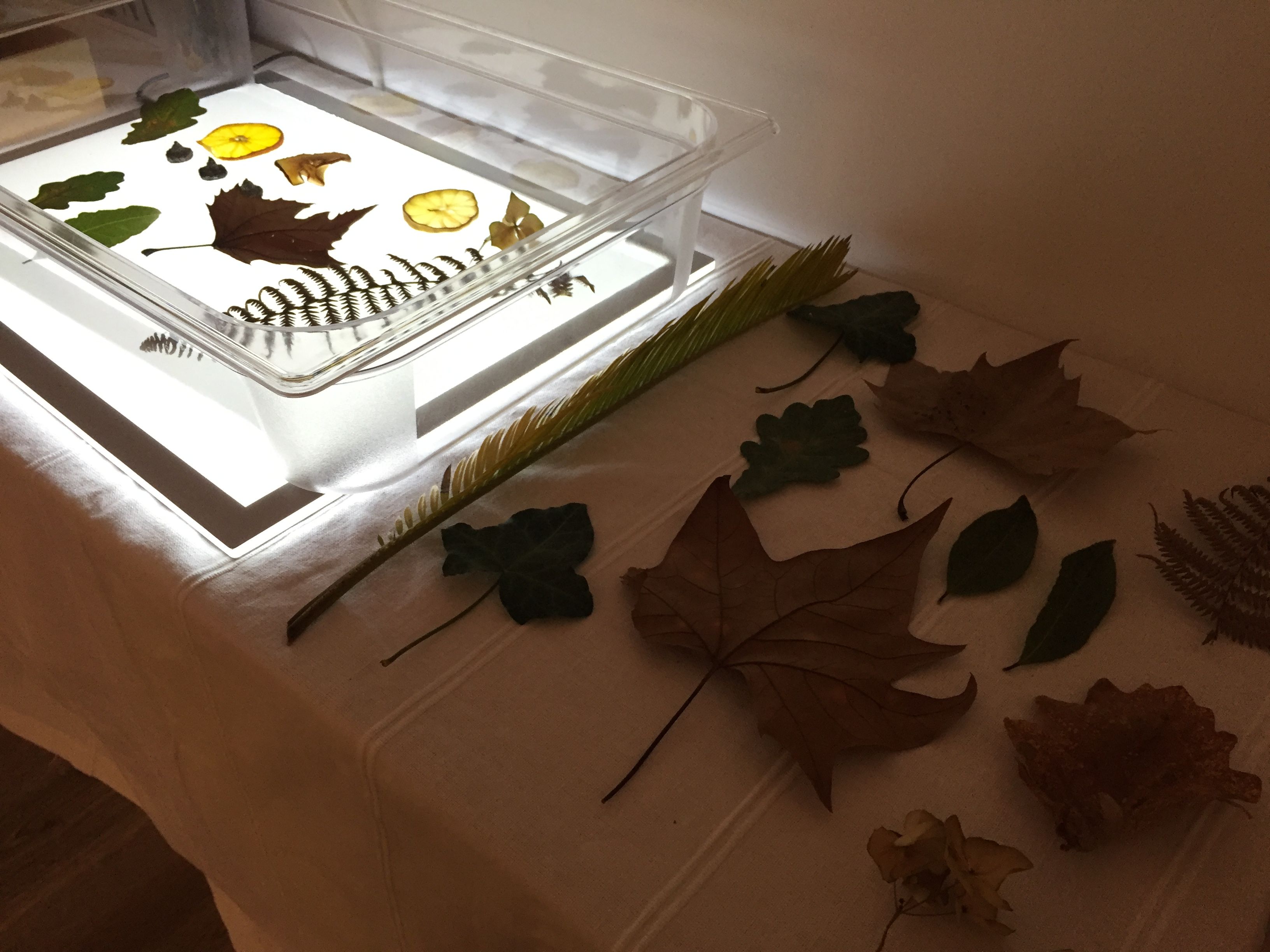 Recursos caseiros para mesa de luz