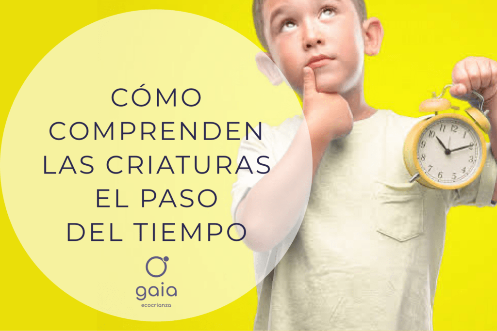 Cómo comprenden las criaturas el paso del tiempo