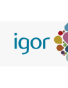 IGOR